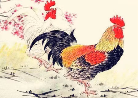 Tuổi Dậu làm việc cẩn thận đến từng chi tiết nhỏ nên công việc tiến triển, năng lực bản thân cũng ngày càng cao. Thu nhập cải thiện, con giáp có thể tận hưởng, chi tiêu một chút cho bản thân.