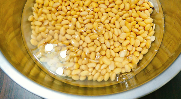 Ngay cả khi đậu nành được ngâm nước trong quá trình chế biến cũng không “thu hút” Aspergillus. Khi ngâm đậu làm sữa, chúng sẽ hút lượng lớn nước khiến nấm mốc không có đủ oxy để phát triển. Do vậy, chỉ cần đảm bảo đậu nành nguyên liệu được bảo quản đúng cách thì Aspergillus sẽ không có cơ hội sinh sôi.