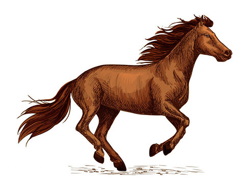 Tuổi Ngọ đáp ứng tốt yêu cầu của lãnh đạo, năng lực được ghi nhận. Con giáp đừng vì quá vui mừng mà chi tiêu, vui chơi quá nhiều, sớm muộn sẽ phải chịu áp lực kinh tế.