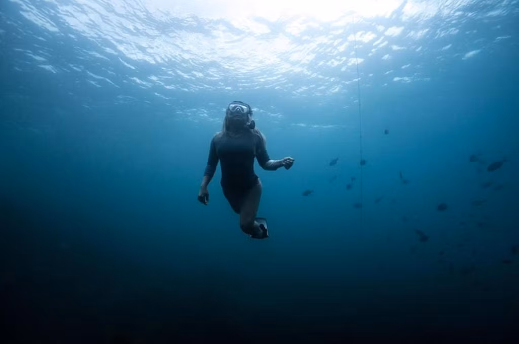 Vịnh Đảo (New Zealand): Những tầng sáng tối đan xen hoàn hảo chính là điểm nhấn trong tác phẩm của nhiếp ảnh gia Andy Mann. "Mùa hè giống như đại dương. Bạn có thể thấy mặt trời tỏa sáng rực rỡ bên trên, mặt nước trong xanh còn bao quanh là khung cảnh căng tràn nhựa sống", Andy Mann chia sẻ về bức hình.