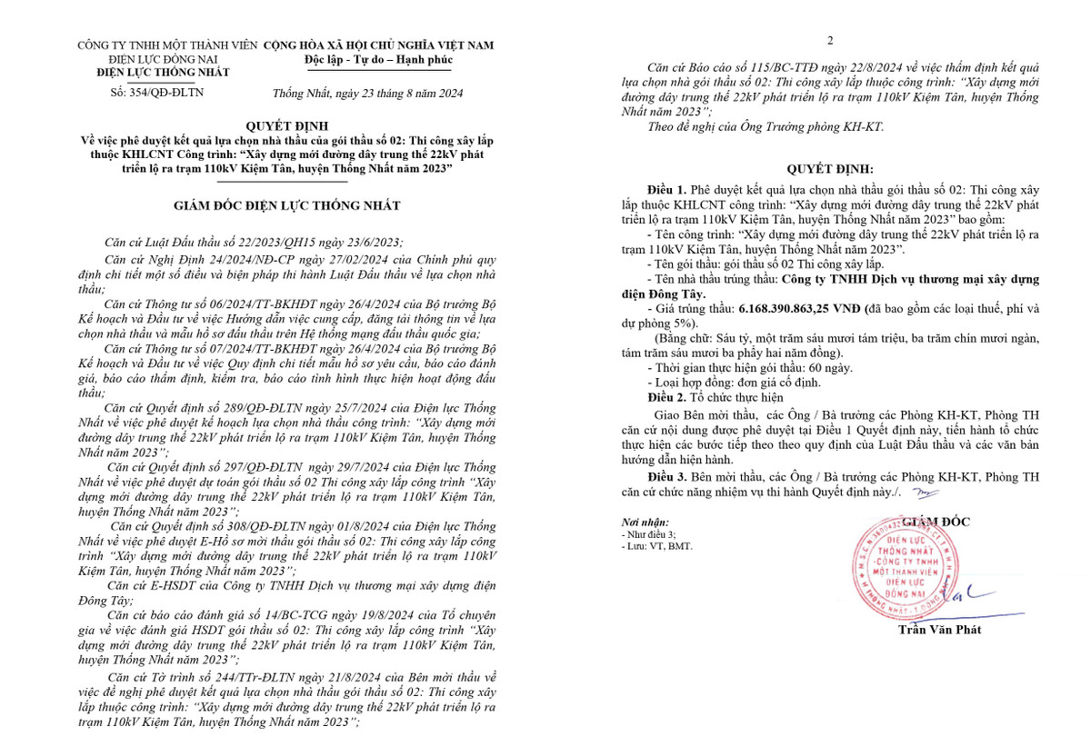 Cty Dien Dong Tay thang goi thau hon 2,3 ty tai Dien luc TP HCM-Hinh-2