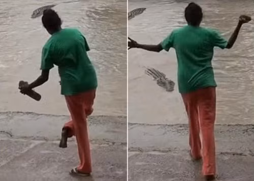 Cá sấu nước mặn vốn là một trong những thủy quái khiến con người bị ám ảnh nhiều nhất, tuy nhiên đối với người phụ nữ da màu này, cá sấu khổng lồ dường như không được đánh giá cao. (Nguồn Sina)