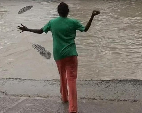 Theo thông tin đăng tải, trong khi đi dạo cùng chó cưng ở gần sông thuộc công viên quốc gia Kakadu, phía bắc của Australia, người phụ nữ này đã có cuộc chạm trán đầy kịch tính với những con cá sấu tử thần hung dữ và luôn luôn đói bụng. (Nguồn Sina)