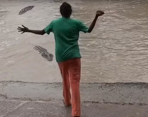 Theo thông tin đăng tải, trong khi đi dạo cùng chó cưng ở gần sông thuộc công viên quốc gia Kakadu, phía bắc của Australia, người phụ nữ này đã có cuộc chạm trán đầy kịch tính với những con cá sấu tử thần hung dữ và luôn luôn đói bụng. (Nguồn Sina)