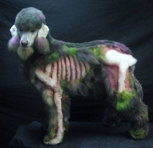 Tuy sợ nhưng nhiều người vẫn không cưỡng lại được sức thu hút của chú chó này bởi màn hóa trang Halloween của chú ta quá đỉnh. (Nguồn List25)