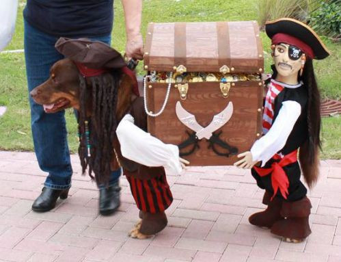 Quá đam mê những bộ phim về cướp biển, chú chó này được chủ diện cho hẳn bộ quần áo hóa trang cực đỉnh. (Nguồn List25)