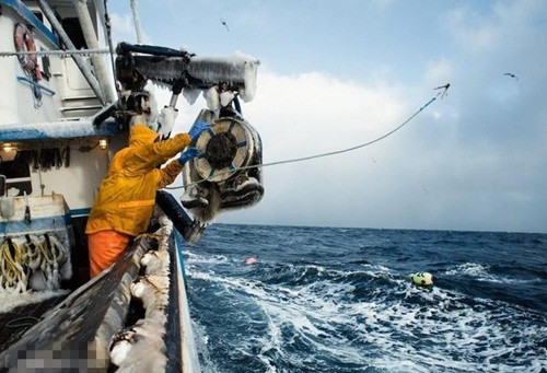 Danh bat cua Hoang De kiem 650.000 USD trong 5 ngay-Hinh-3