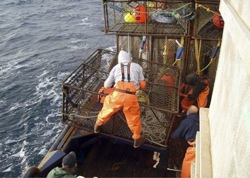 Danh bat cua Hoang De kiem 650.000 USD trong 5 ngay-Hinh-2