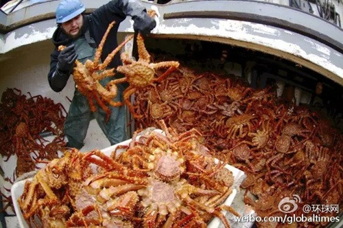 Danh bat cua Hoang De kiem 650.000 USD trong 5 ngay-Hinh-8