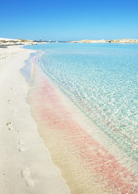 Bãi biển hồng Playa de Ses Illetes ở Formentera, quần đảo Baleares của Tây Ban Nha.