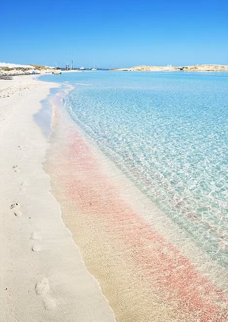 Bãi biển hồng Playa de Ses Illetes ở Formentera, quần đảo Baleares của Tây Ban Nha.