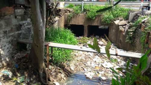 So ngap cu ba treo bien ban nha thay mua la tron