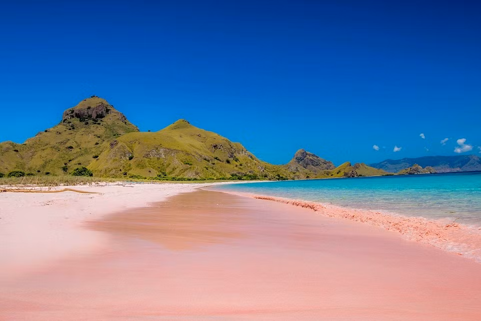 Thú vị hơn, hiện tượng bãi biển cát hồng đặc biệt này không phải là một hiện tượng do ô nhiễm nước xả thải hay thủ thuật của ánh sáng trong nhiếp ảnh mà do một loài sinh vật được gọi là Homotrema rubrum. Trong ảnh là bãi biển hồng trên đảo Padar thuộc Komodo Flores, Indonesia.