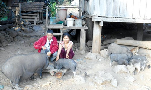 Chuyen bat chong o deo Phuong Hoang-Hinh-3