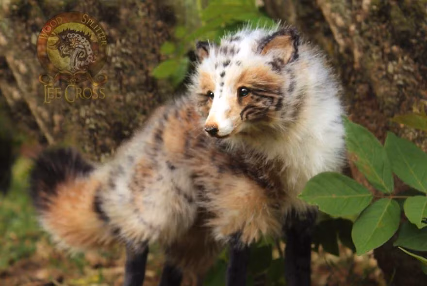 Với một vài sinh vật mà Lee tâm đắc, nghệ sĩ này có riêng một huyền thoại cho chúng. (Nguồn Bored Panda)