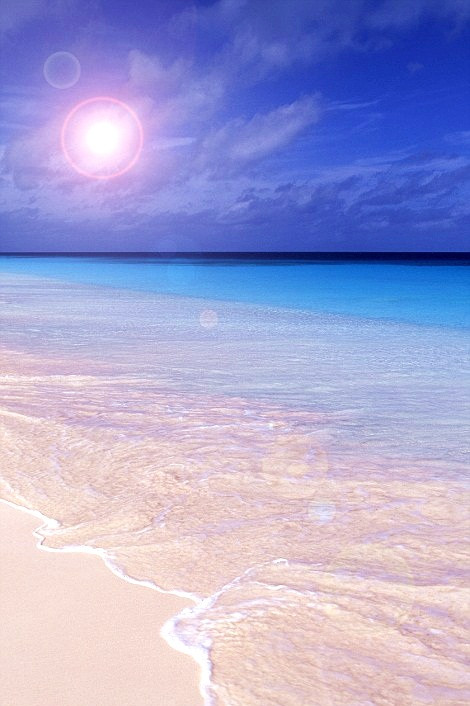 Bãi biển màu hồng ở Bonaire, Antilles Leeward.