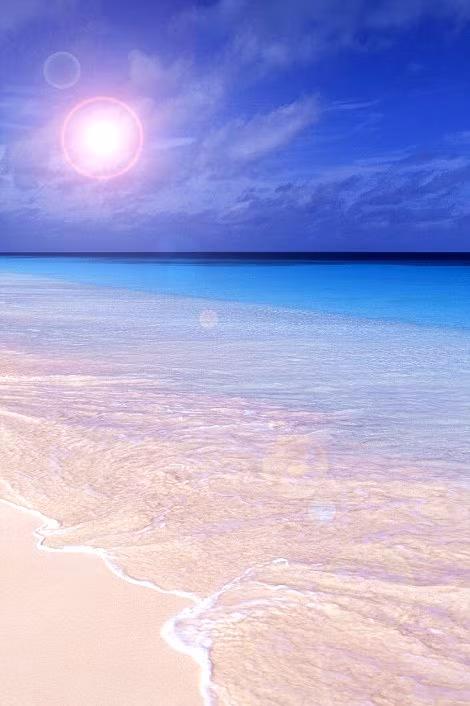 Bãi biển màu hồng ở Bonaire, Antilles Leeward.