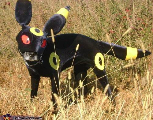 Hóa thân thành Pokemon sở hữu sức mạnh vượt trội, chú chó này khiến nhiều người chỉ muốn bắt về. (Nguồn List25)