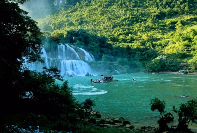 Cúc Phương được công nhận là một vùng chim quan trọng tại Việt Nam, đến nay, đã có 313 loài chim được xác định ở vườn quốc gia này.