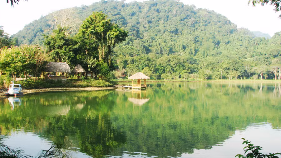 Mới đây, trên trang web du lịch có tiếng, được nhiều người tin tưởng Have Halal Will Travel đã đăng tải bài viết Top 8 khu bảo tồn động vật ở châu Á mà những người yêu động hoang dã nên ghé thăm. Trong đó, vườn quốc gia Cúc Phương hay còn gọi là rừng Cúc Phương ở Ninh Bình, Việt Nam đứng thứ 3.