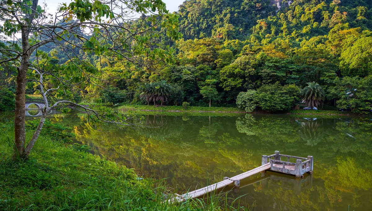 Vườn quốc gia Cúc Phương là một khu bảo tồn thiên nhiên, khu rừng đặc dụng rộng 222km2, nằm trên địa phận thuộc ba tỉnh: Ninh Bình, Hòa Bình, Thanh Hóa. Nơi đây có hệ động thực vật phong phú, đa dạng mang đặc trưng rừng mưa nhiệt đới.