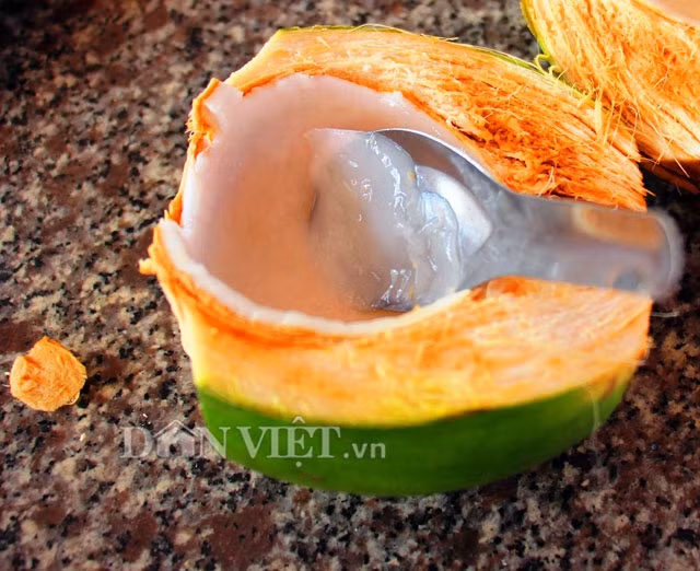 Phía bên trong trái lớp cơm mỏng, rất thơm, giá bán tại vườn mỗi trái 8.000 đồng.