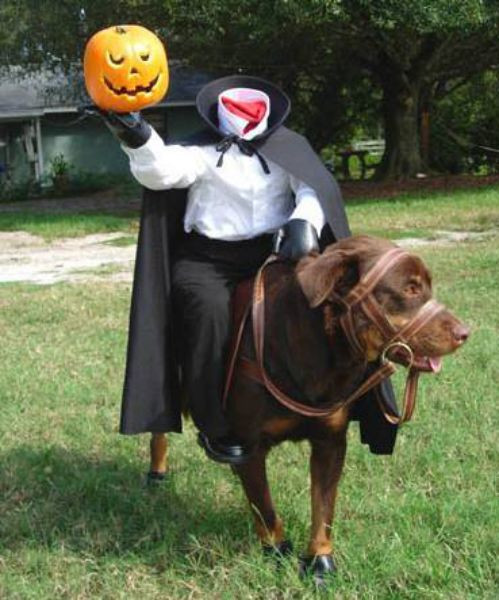 Đây có lẽ là một trong những bộ đồ hóa trang Halloween cho chó cưng sáng tạo và độc đáo nhất. Ngay từ cái nhìn đầu tiên, người xem đã cực kỳ thích thú. (Nguồn List25)
