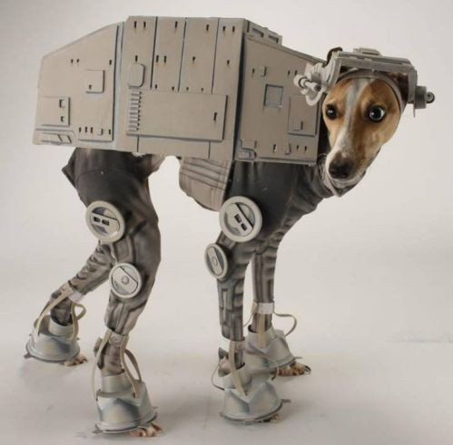 Hóa thành chó robot, chú chó này lạ lẫm với ngay chính bản thân mình. (Nguồn List25)