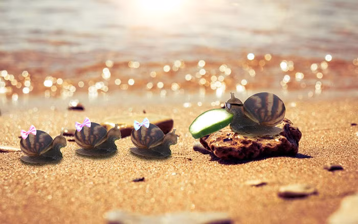 Lấy lại cơ thể quyến rũ lại có sự nghiệp thành công, quý ông ốc sên trở thành một tay chơi chính hiệu, hàng tá những cô nàng ốc sên khác tìm đến anh chàng. (Nguồn Bored Panda)