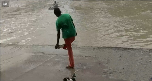 Khi thấy cá sấu lừ lừ tiến về phía mình, người phụ nữ đã rút ngay chiếc dép tông đang đi ở chân và hướng về phía cá sấu dọa dẫm. (Nguồn Sina)