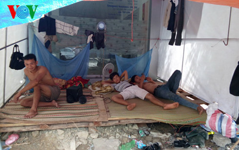 Da Nang Trai khoay dao duong giua mua mua gay buc xuc-Hinh-4