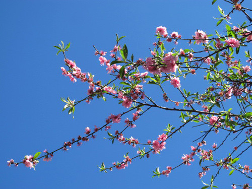 Cùng với thời gian tuổi càng cao thì tuổi Ngọ càng khó kết giao với người khác. Với bản tính độc lập, cho nên họ có thể tự làm mọi việc mà đôi khi không cần sự trợ giúp của người khác.