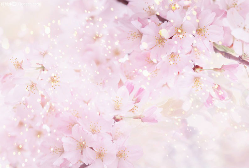 Bởi vì họ vốn chưa từng cảm thấy việc cùng nhau ăn vài bữa cơm, đi uống cà phê tán gẫu vui vẻ hay đi xem một bộ phim hay thì đó có thể coi là bạn bè.