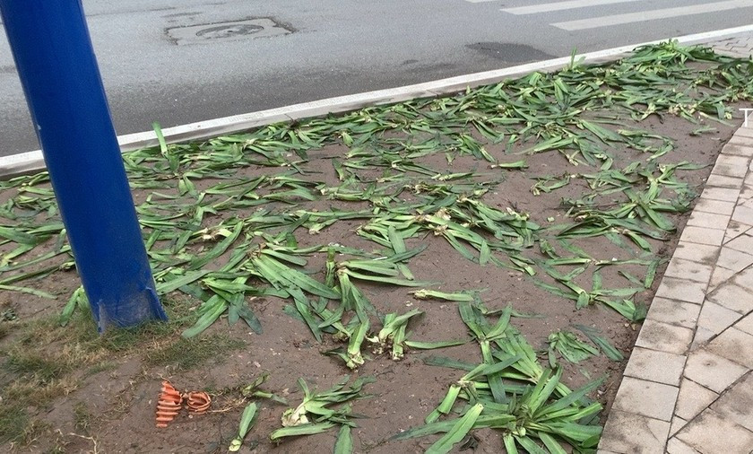 Những hình ảnh khiến nhiều người ngán ngẩm.