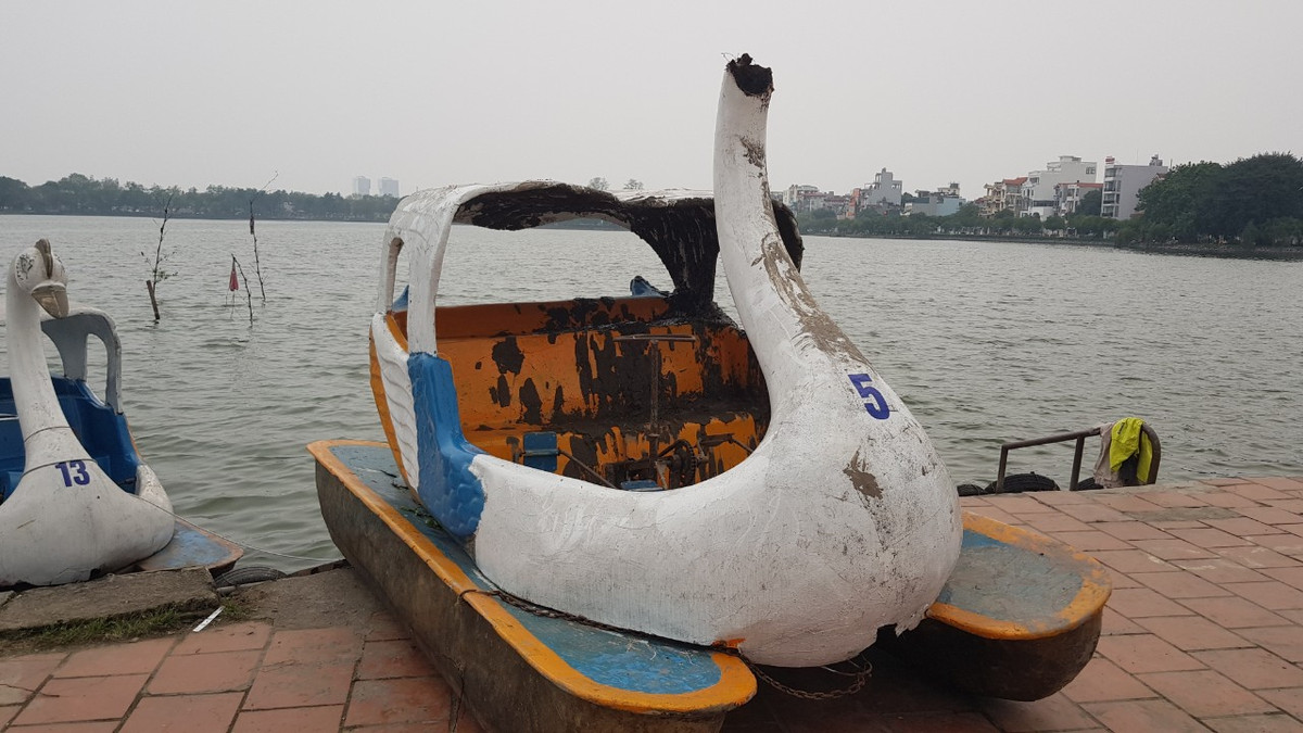 Quá trình trục vớt đã khiến đầu thuyền thiên nga bị hư hỏng.