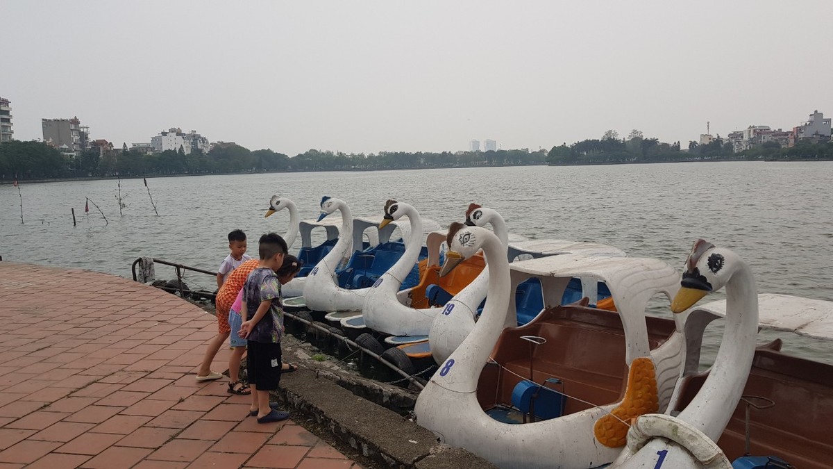 Những chiếc thuyền thiên nga tại đây đều đã cũ.