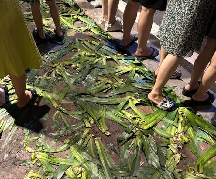 Những người dẫm lên cây hoa có cả phụ nữ.