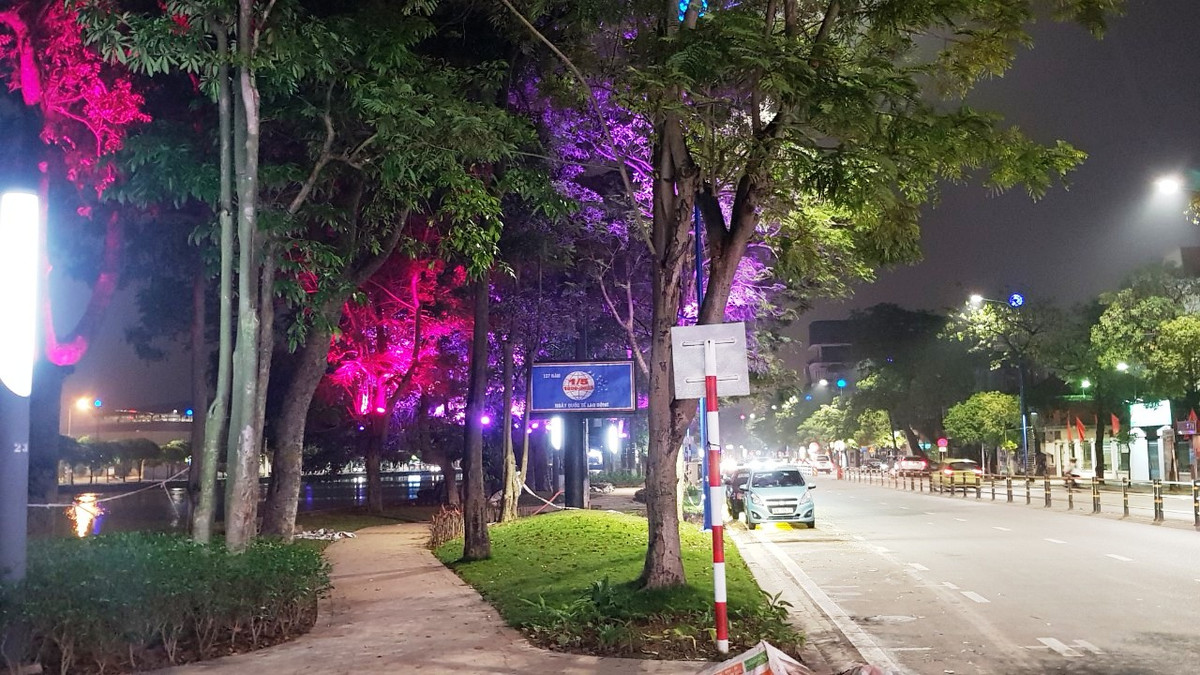 Phố đi bộ Bạch Đăng sử dụng toàn bộ khu vực Quảng trường Thống Nhất, 1/2 đường Bạch Đằng và 1/2 đường Bùi Thị Xuân phía giáp sông, đường Chương Dương và cầu Hồng Quang.