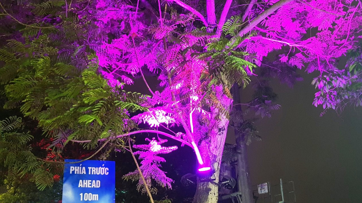 Hiện địa phương đã lắp dựng hệ thống chiếu sáng tại Quảng trường Thống Nhất; hệ thống chiếu sáng xung quanh sông Bạch Đằng trình chiếu ánh sáng nghệ thuật bằng các đèn nhiều màu sắc (tự động đổi màu theo lập trình) được chiếu lên cây tạo không gian rực rỡ sắc màu.