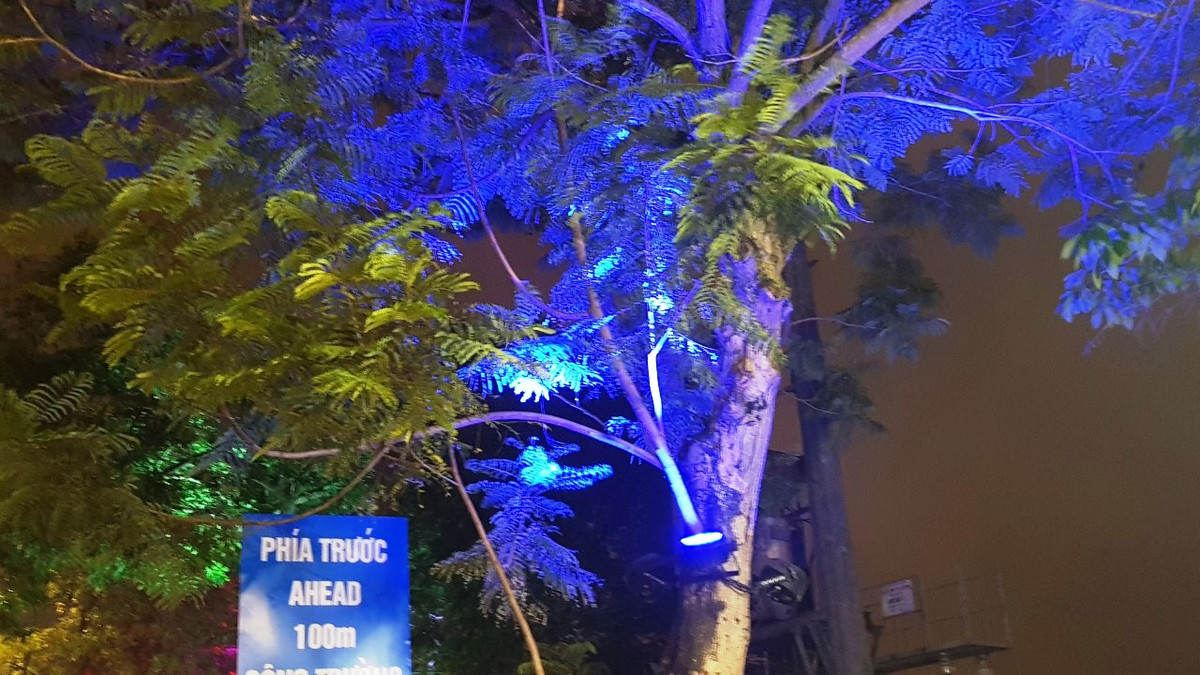 Hệ thống chiếu sáng tự đổi màu trên cây.