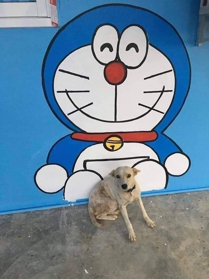 Mọi khoảng trống trên tường đều được lấp đầy bởi hình ảnh của Doraemon.