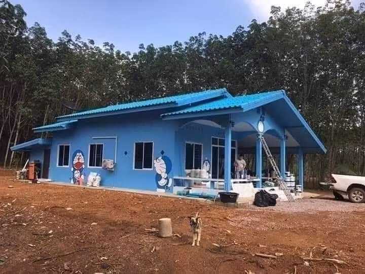 Không phải vì ngôi nhà độc đáo đó nguy nga lộng lẫy mà chính vì các hình vẽ về Doraemon dễ thương hết mức, gợi nhớ lại kí ức tuổi thơ nên ai cũng mong muốn được sống ở đó.