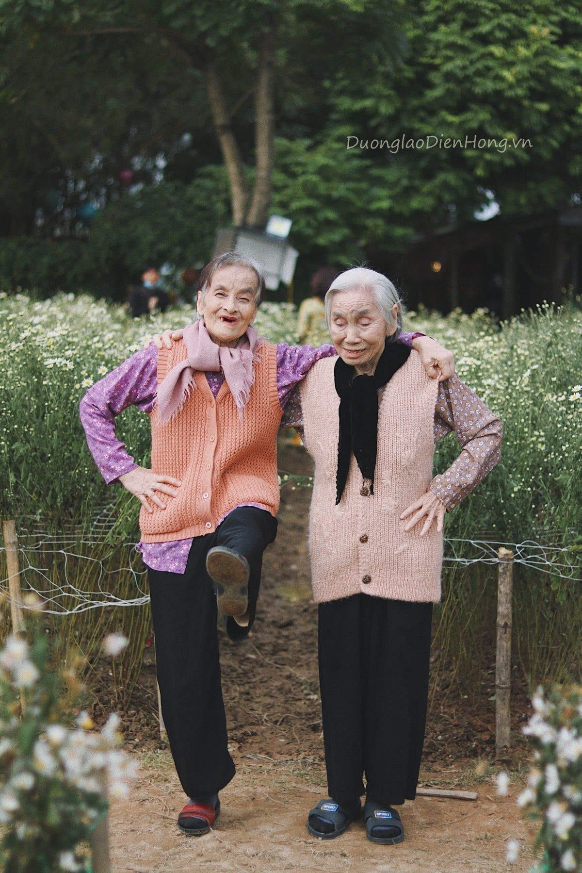 Nhiều cư dân mạng tỏ ra thích thú với bộ ảnh của hai cụ.