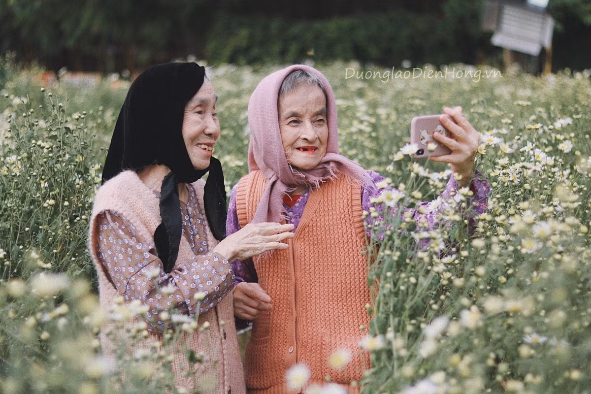 Giữa khung cảnh tươi đẹp đầy thơ mộng, đôi bạn lớn tuổi cùng ngắm hoa, chụp ảnh cúc họa mi với nét mặt rạng rỡ làm ai nhìn vào cũng cảm thấy vui lây.