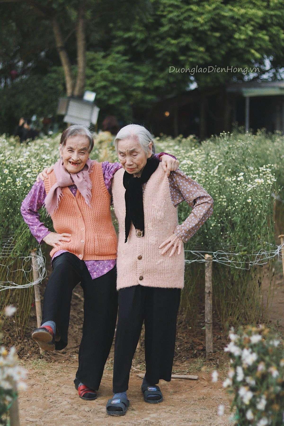 Thậm chí, hai cụ bà còn có những biểu cảm cực kỳ dễ thương, đáng yêu không khác gì hội các cháu tuổi teen bây giờ.