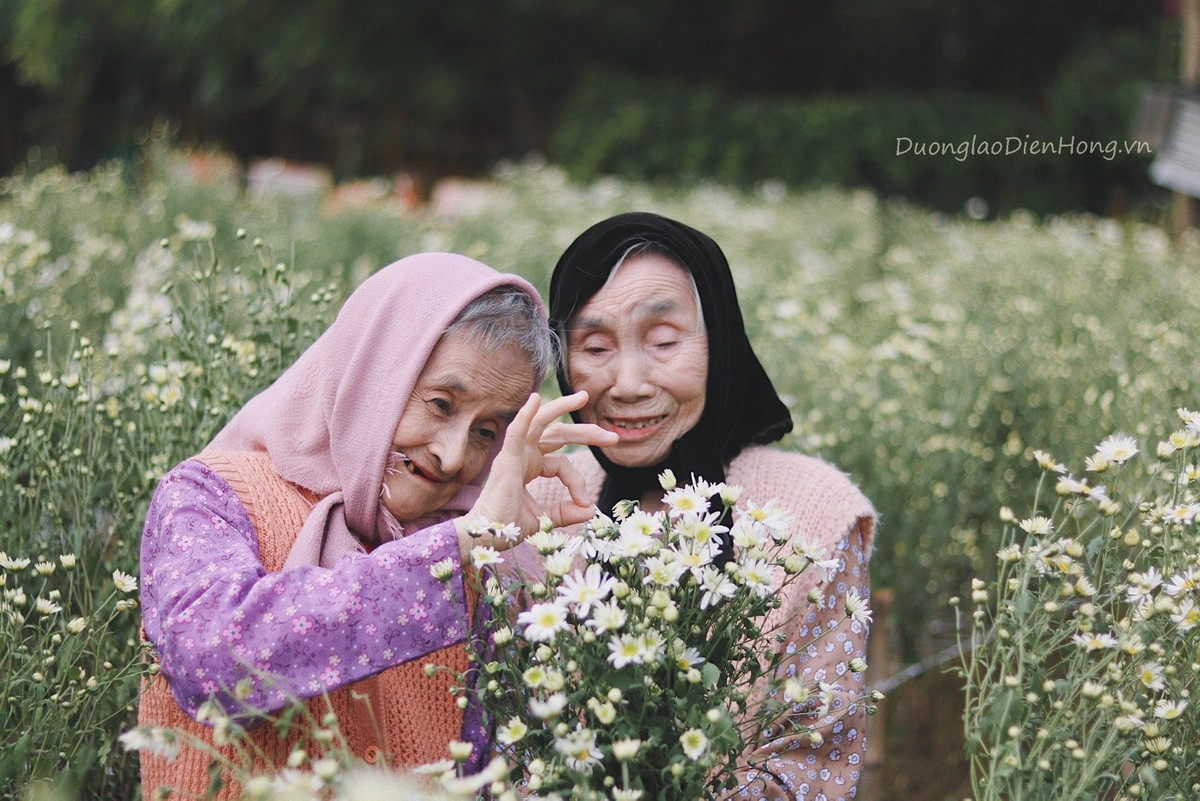 Ở bên dưới phần bình luận, hầu hết cư dân mạng dành nhiều lời khen ngợi cho bộ ảnh đẹp, đồng thời ngưỡng mộ tình bạn đáng trân trọng của hai cụ bà.