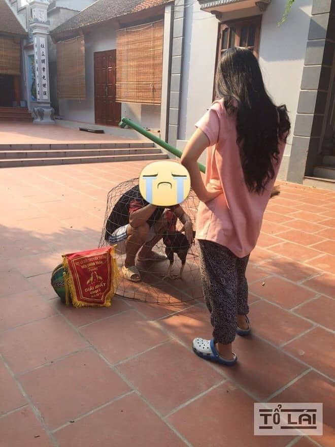 Không ít trường hợp những anh chồng rơi vào hoàn cảnh “éo le”, bị vợ quát cho "không trượt phát nào" vì làm trái ý và sau đó là loạt ảnh hài hước khiến cư dân mạng cười bò.