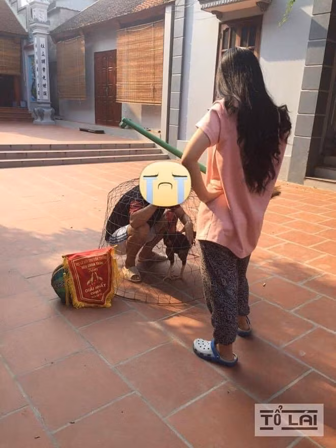 Không ít trường hợp những anh chồng rơi vào hoàn cảnh “éo le”, bị vợ quát cho "không trượt phát nào" vì làm trái ý và sau đó là loạt ảnh hài hước khiến cư dân mạng cười bò.