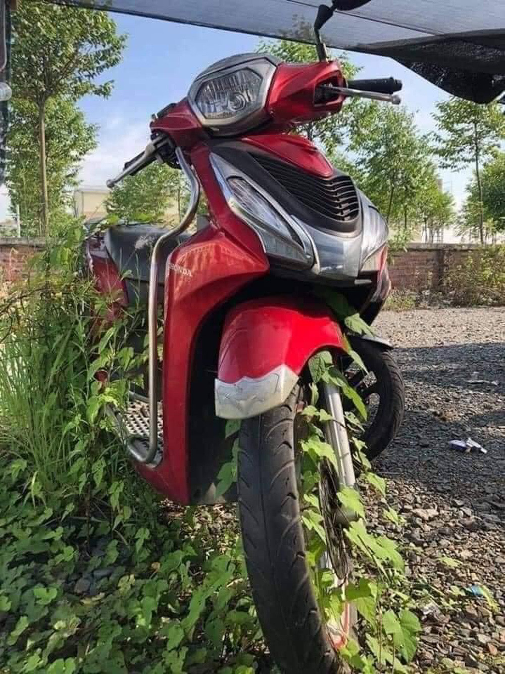 Không riêng gì xe ô tô, xe máy cũng rơi vào hoàn cảnh tương tự. Chiếc xe máy mọc cây là hình ảnh thường thấy sau nhiều tháng giãn cách, vì để yên một chỗ nên mầm cây đã nhú lên ở yên xe.