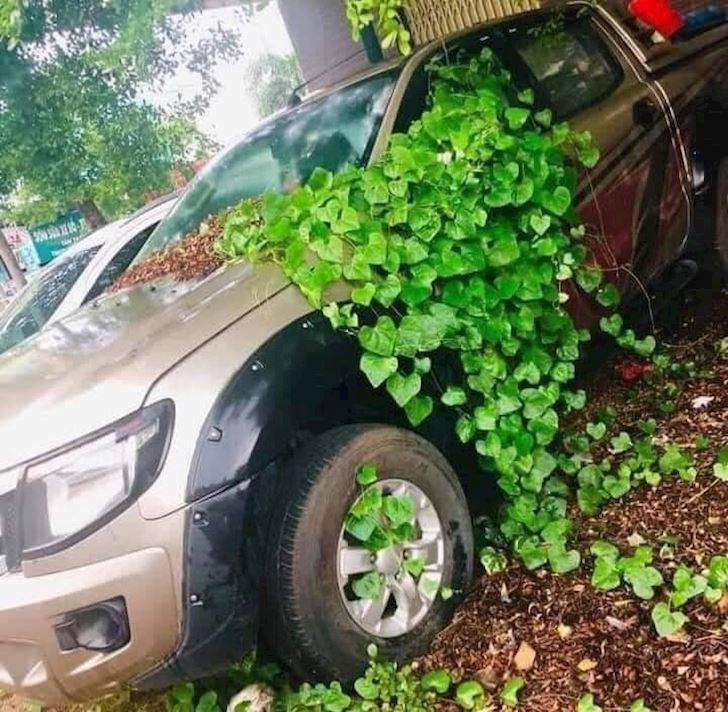 Liên tiếp những đợt giãn cách khiến cho một số chủ xe không kịp phòng bị khiến cho hình ảnh những chiếc xe trở nên xót xa bởi không được sử dụng hay chăm xóc định kỳ.